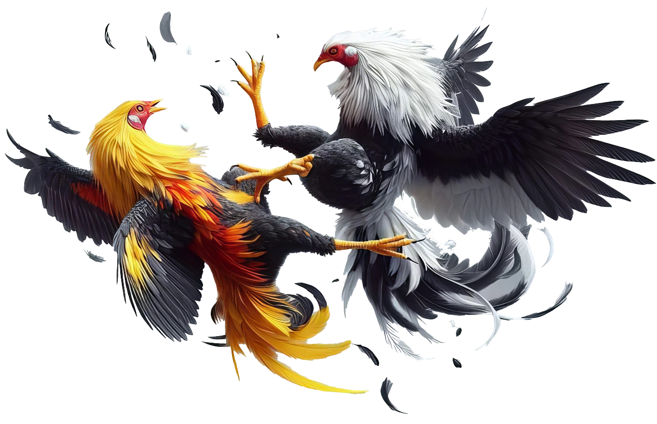 XX88 | Cùng Bạn Chinh Phục Đỉnh Cao 4 da ga